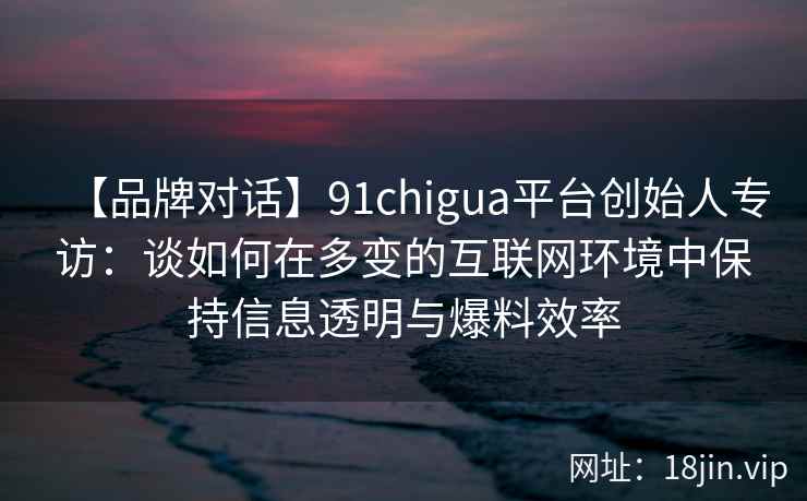 【品牌对话】91chigua平台创始人专访：谈如何在多变的互联网环境中保持信息透明与爆料效率