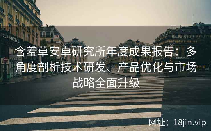 含羞草安卓研究所年度成果报告：多角度剖析技术研发、产品优化与市场战略全面升级