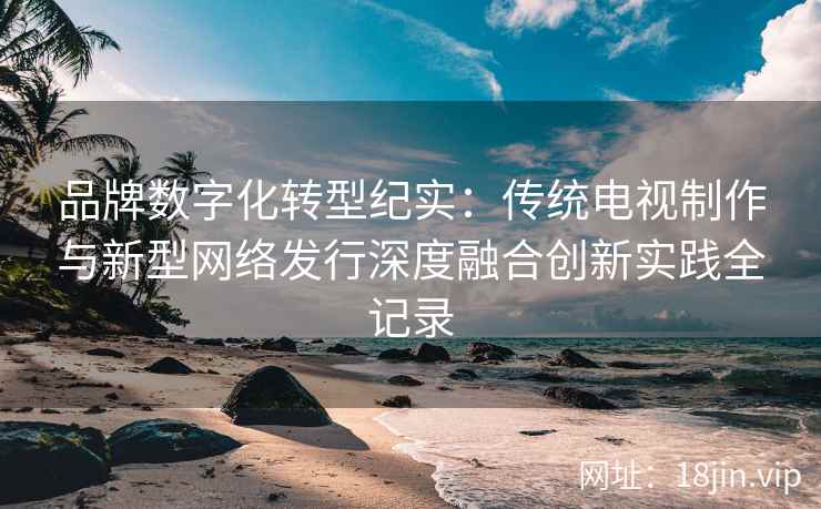 品牌数字化转型纪实：传统电视制作与新型网络发行深度融合创新实践全记录