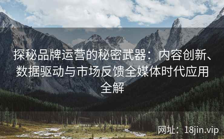 探秘品牌运营的秘密武器：内容创新、数据驱动与市场反馈全媒体时代应用全解